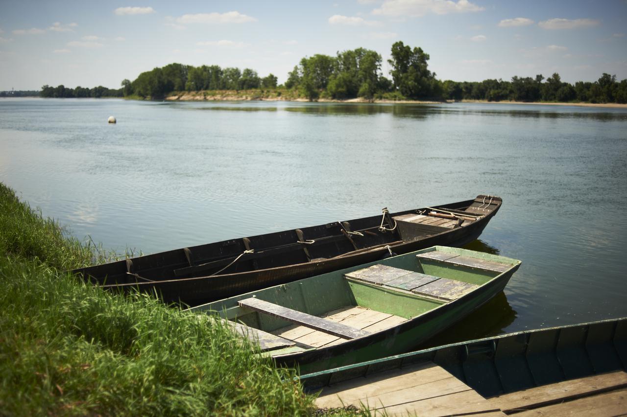 Auberge De La Loire Montjean-sur-Loire Экстерьер фото